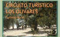 CIRCUITO TURISTICO LOS OLIVARES